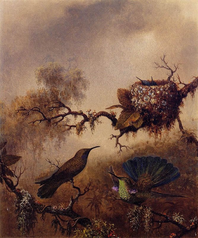 Martin Johnson Heade White-Vented Violet-Eared